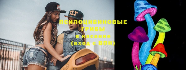 молекула духа Зеленокумск