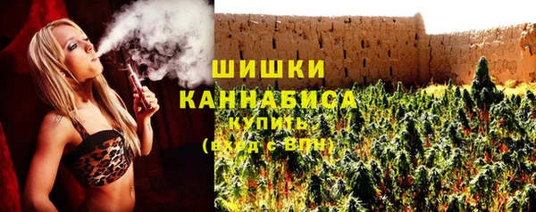 молекула духа Зеленокумск