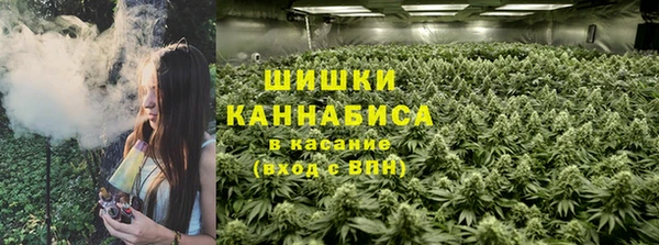 молекула духа Зеленокумск