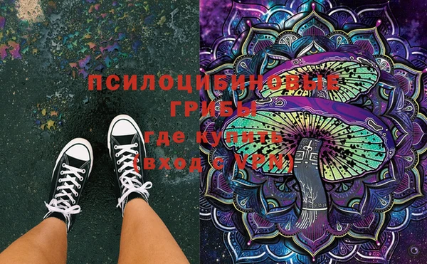 spice Зерноград