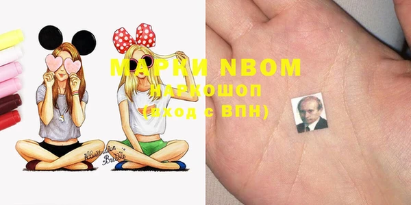 молекула духа Зеленокумск